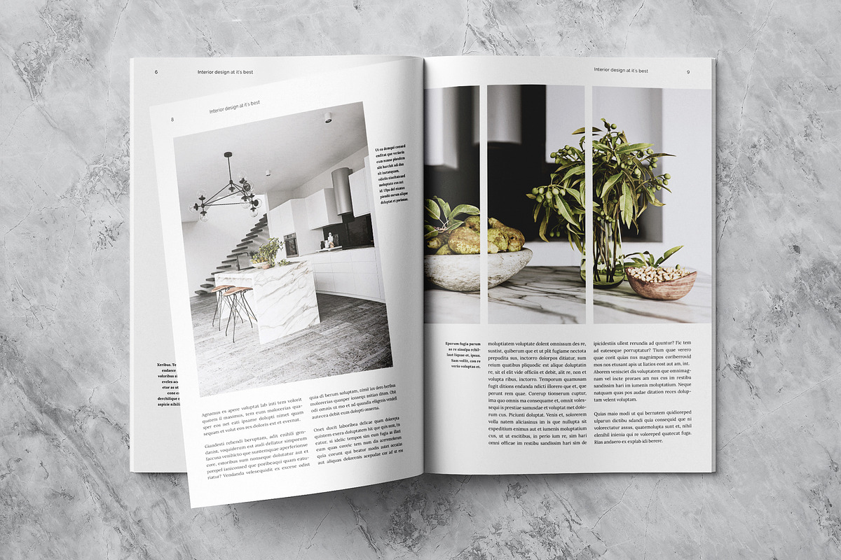Multipurpose Magazine Template, a Brochure Template by Template Temple (Photo 5 of 10)