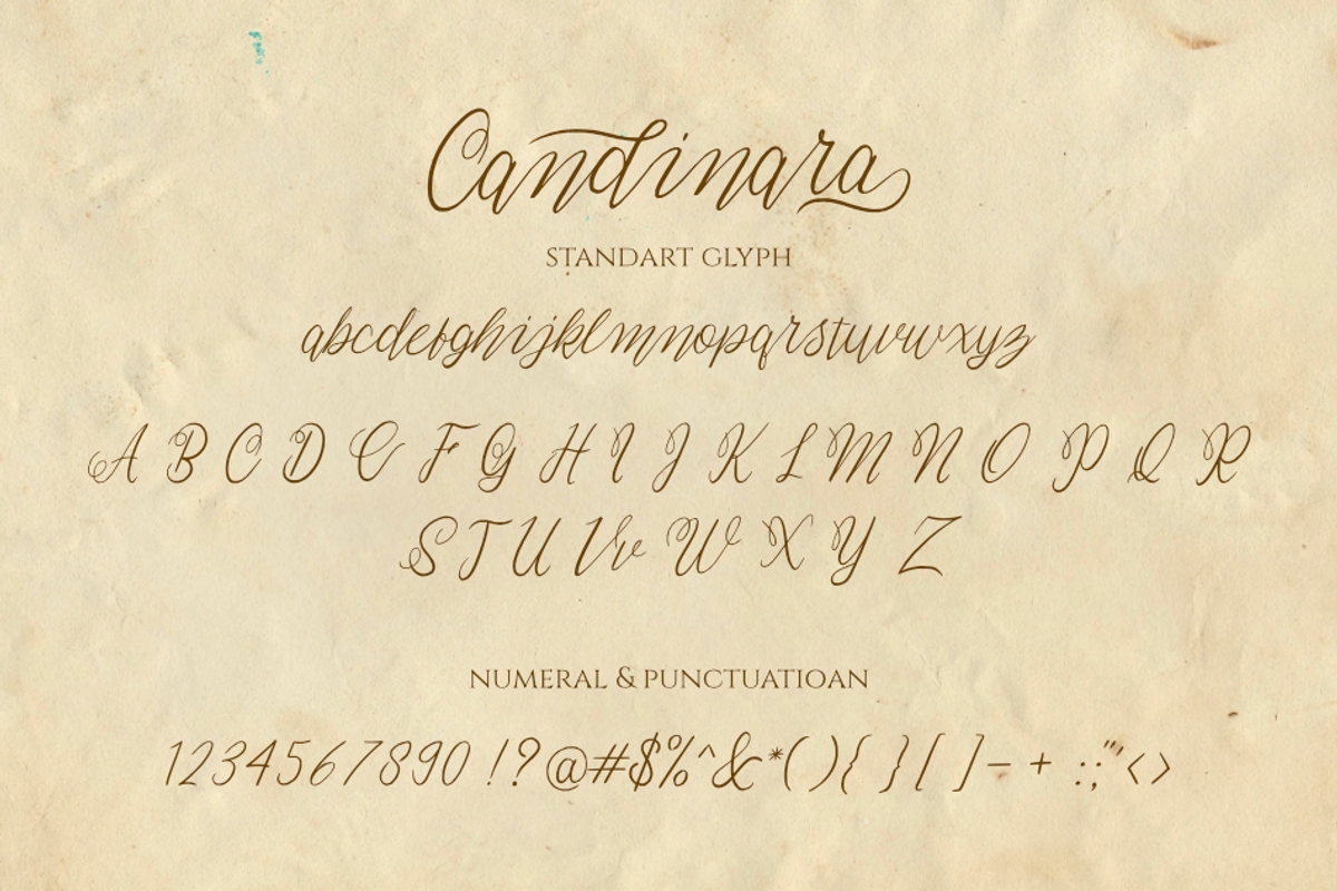Candinara - Elegant Calligraphy, a Script Font by Ginart (Photo 9 of 11)