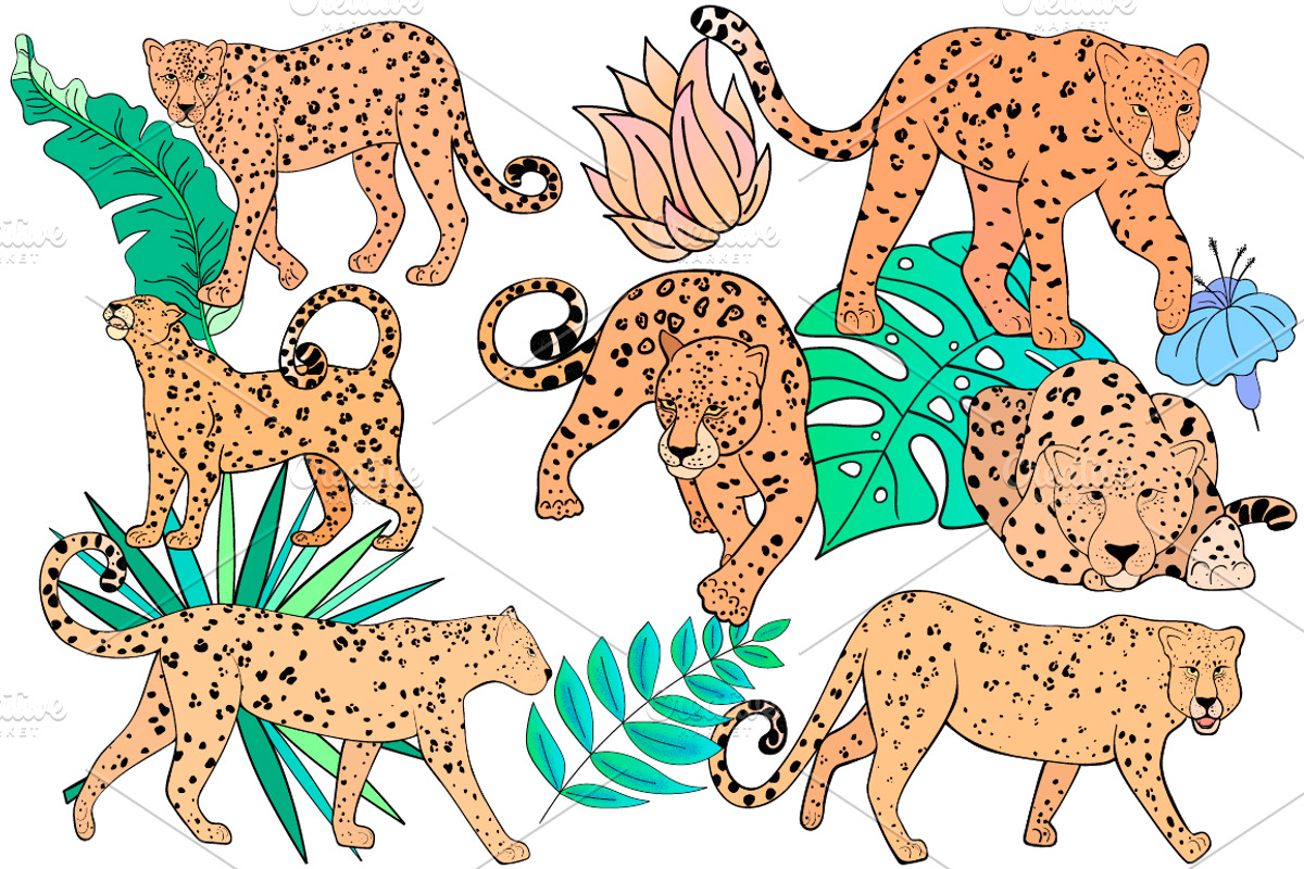 Leopards 4, an Animal Illustration by Ecaterina Sciuchina (Photo 3 of 4)