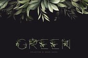 Green leaves - greenery clipart, an Illustration by ollalya (Thumbnail 2 of 12)