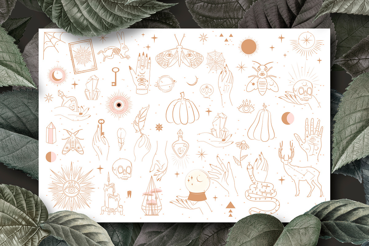 Mystical Collection, a Decorative Illustration by Mio Buono (Photo 2 of 10)