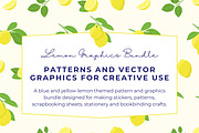 Lemon Patterns & Graphics Bundle, a Pattern Graphic by Fern & Quill (Thumbnail 7 of 7)