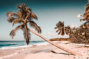Travel & Adventure Lightroom Presets, an Action Add-On by Lensgrade.com (Thumbnail 12 of 20)
