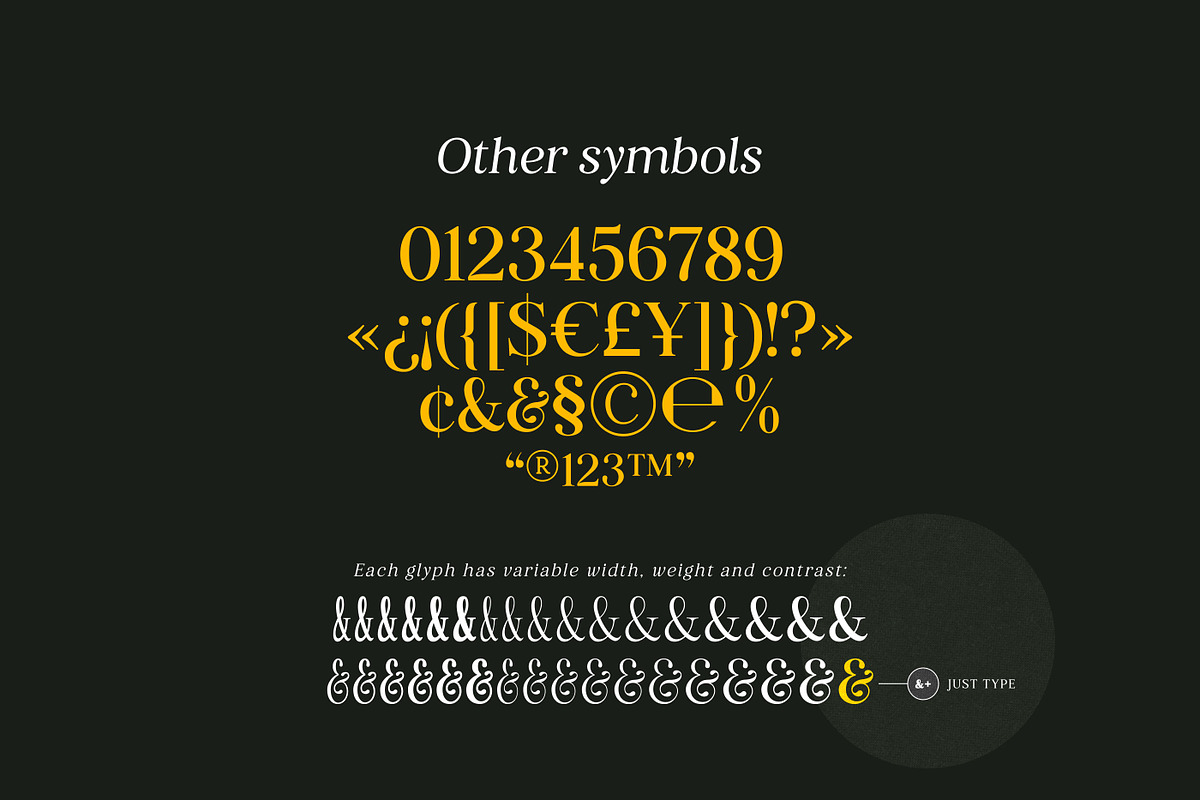 Retro Voice – Variable Serif Font, a Serif Font by Blessed Print (Photo 26 of 29)