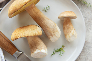 Fresh penny bun mushrooms ready for cooking on white plate, a Food & Drink Photo by Olena Rudo