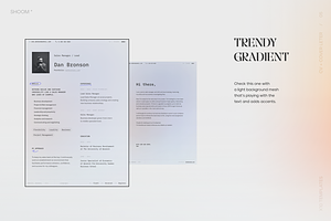 Modern Resume Bundle: 10 PRO Themes