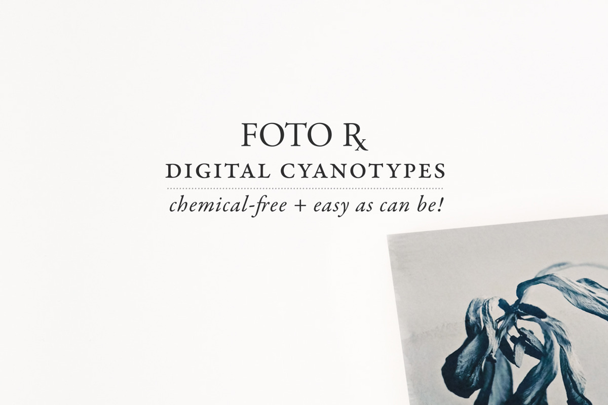 Digital Cyanotype Effect, a Brushes & More by Foto Rx Co. (Photo 1 of 8)