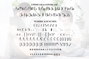 Entertain | Script Font, a Handwritten Font by Scratchones (Thumbnail 7 of 9)