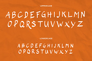 The Wolfflin // Handwritten Font, a Script Font by Letterature Std. (Thumbnail 3 of 11)