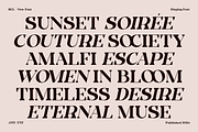 Kesiq – Modern Elegant Serif Display, a Serif Font by roomspace creative lab (Thumbnail 7 of 12)