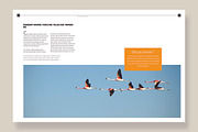 Magazine Template 06, a Magazine Template by pmvch (Thumbnail 12 of 12)