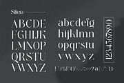 Siftera Modern Elegant Serif, a Serif Font by Alfinart (Thumbnail 8 of 10)