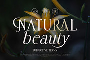 Deloca Moreys Typeface, a Serif Font by alit design (Thumbnail 4 of 20)