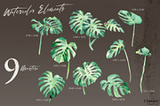 Modern Plants Design Kit, an Object Graphic by JSquarePresents (Thumbnail 13 of 18)
