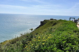 Scenic coastal view of Nazare, Portugal with cliffs and vibrant vegetation, a Photo by AS photostudio