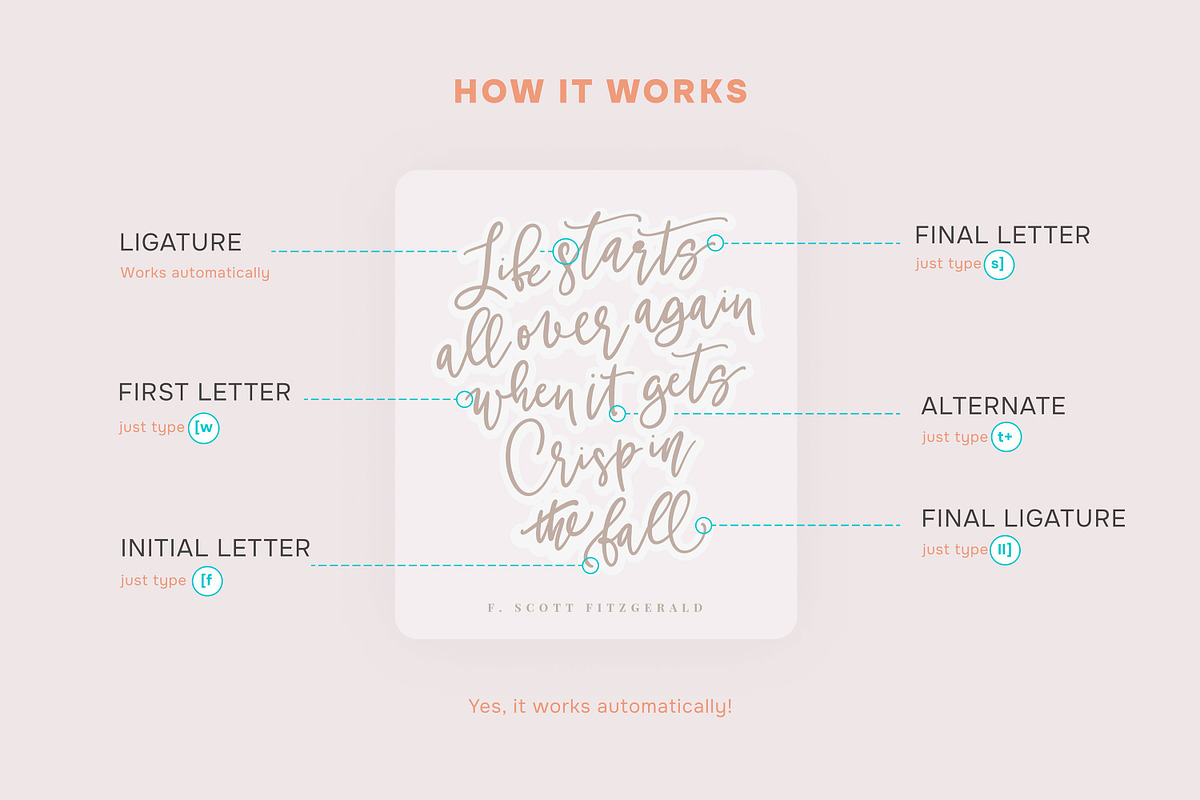 BetterFly - for Canva & Templett, a Script Font by Blessed Print (Photo 32 of 46)