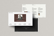 Pitch Deck Template | Canva, a Presentation Template by evgenystudio (Thumbnail 3 of 10)