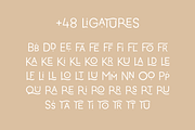 Catanzaro Ligature Display Font, a Sans Serif Font by Emma Webb Studio (Thumbnail 4 of 12)