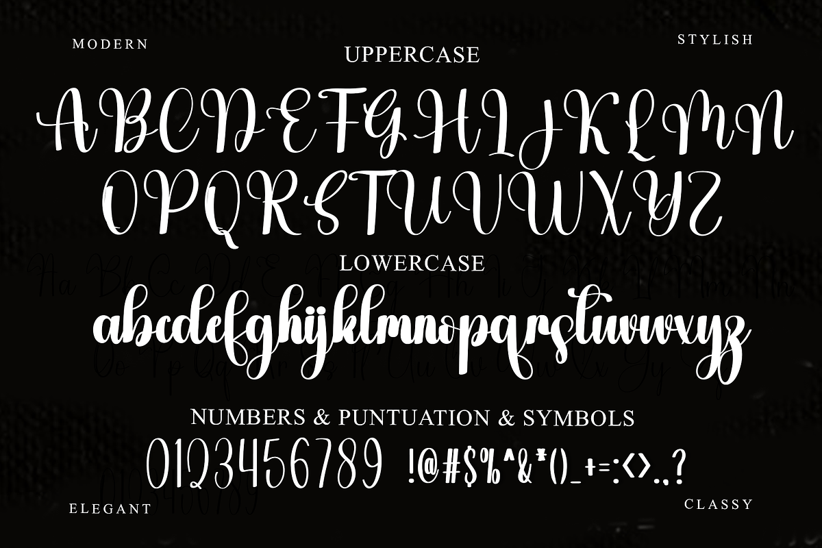 Aster Magnolia, a Handwritten Font by InermediaSTUDIO (Photo 7 of 8)