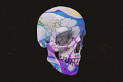Skulls: 108 Skull Images, an Object Graphic by RuleByArt (Thumbnail 9 of 16)