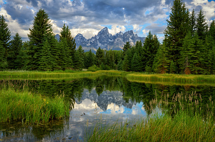 Mountain Valley Beaver Pond