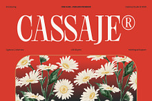 Cassaje – One Case Endless Presence