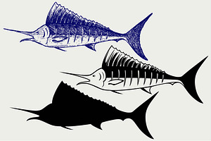 Sailfish Saltwater Fish SVG