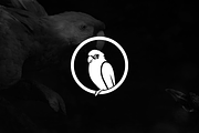 Minimalist Modern Parrot Logo, a Branding & Logo Template by Luxury Logos (Thumbnail 2 of 4)