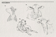 Sketch of a cow PNG, an Animal Illustration by LOKSKIH (Thumbnail 5 of 7)