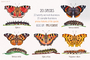Watercolor butterflies, an Illustration by Green_leaf_17 (Thumbnail 2 of 6)