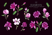 Magnolia PNG Watercolor Flowers, a Decorative Illustration by SashaKondr (Thumbnail 13 of 13)