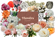 Vintage Collage Creator 710+ PNG, an Object Graphic by Marie T (Thumbnail 11 of 26)