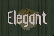 Blackjack Family, a Serif Font by danti (Thumbnail 2 of 6)