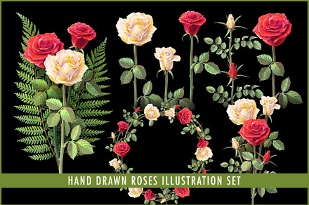 Hand Drawn Roses Illustration Set, a Decorative Illustration by Anna Repp Illustration