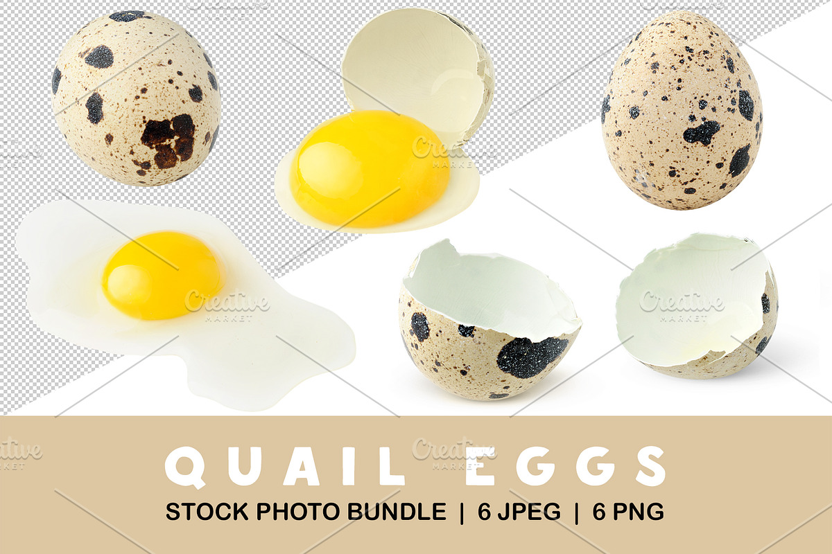 Whole and broken quail eggs, an Object Graphic by Fruits+Veggies