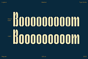 Logisco Full Font Family, a Sans Serif Font by Ideabuk (Thumbnail 9 of 12)