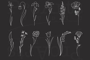 Minimal Botanical Brushes, Botanic