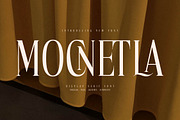Mocnetla Display Serif Font, a Serif Font by Storytype Studio (Thumbnail 1 of 15)