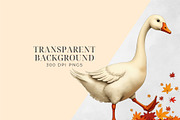 Silly Goose Autumn Clipart PNG, an Object Graphic by Printable Pretty Studio (Thumbnail 4 of 6)