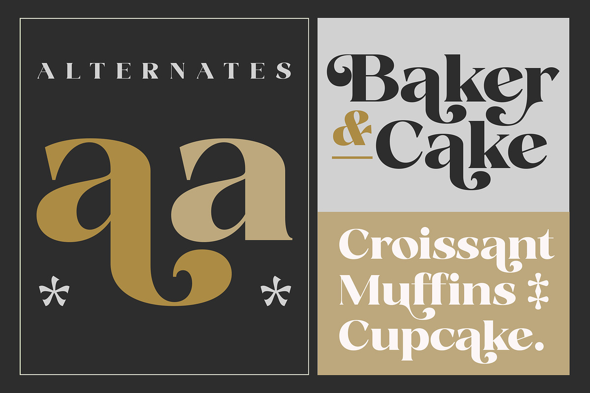 Fanilex, a Serif Font by Propertype (Photo 3 of 16)