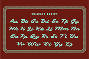 Wildcat - script typeface, a Font by Press & Pen (Thumbnail 7 of 7)