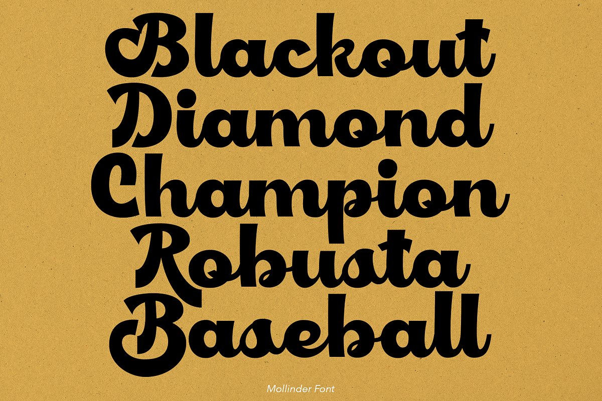Mollinder Font, a Script Font by TypeClassHeroes (Photo 14 of 16)