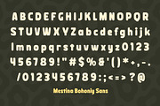 Mestina Bohoniy – Display Font Duo, a Script Font by Madjack.font (Thumbnail 9 of 12)