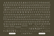 Selukar - Vintage Display Serif Font, a Serif Font by Artflorara (Thumbnail 14 of 15)