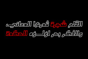 Takeib - Arabic Font, a Sans Serif Font by Mostafa El Abasiry (Thumbnail 14 of 14)