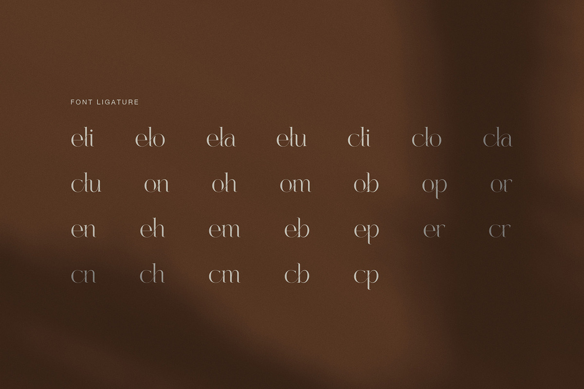 Celion Elegant Ligature Serif Font, a Serif Font by Graphicxell (Photo 8 of 8)