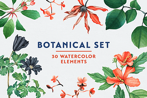 Botanical Watercolor Set