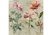 Floral Anatomy Blueprint, a Background Graphic by Printable Treasure (Thumbnail 5 of 5)
