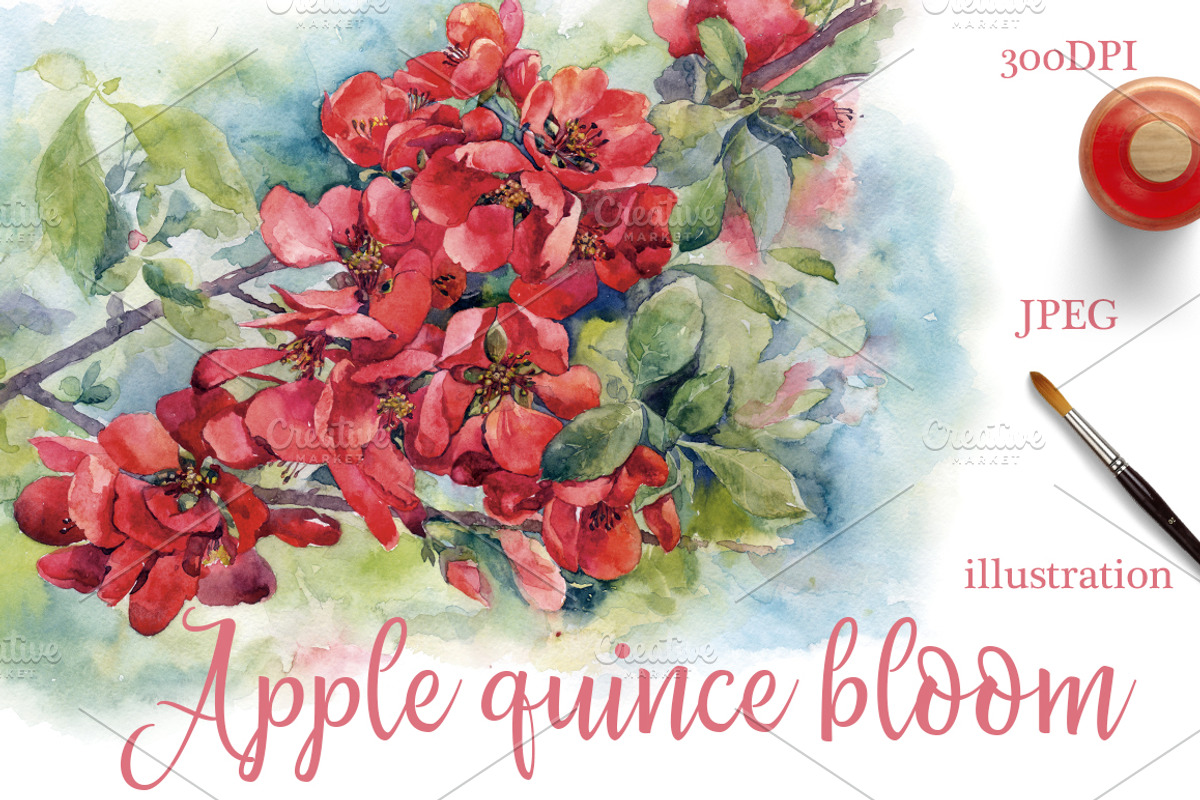 SALE! Watercolor Apple quince, a Decorative Illustration by MaryAmi (Photo 1 of 3)