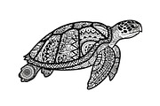 Mandala Sea Turtle SVG Bundle, an Illustration by yasushie (Thumbnail 27 of 31)